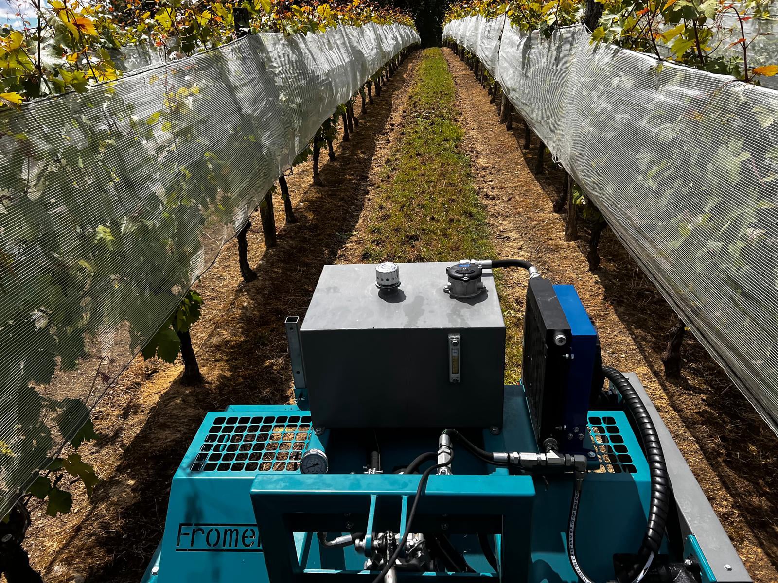 Rotofrom vignes - évite le ravinement